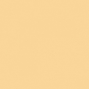OCRE D OR TEINTE M