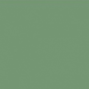 VERT VERONESE TEINTE H