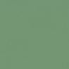 VERT VERONESE TEINTE H