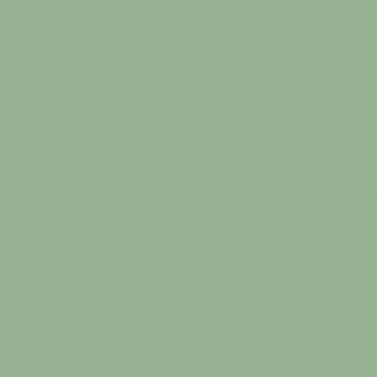 VERT VERONESE TEINTE M