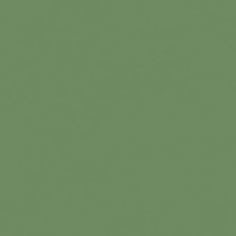 VERT OXYDE DE CHROME TEINTE B