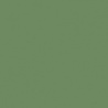 VERT OXYDE DE CHROME TEINTE B
