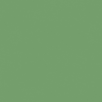 VERT OXYDE DE CHROME TEINTE D