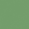 VERT OXYDE DE CHROME TEINTE D