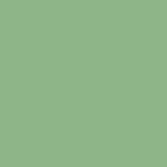 VERT OXYDE DE CHROME TEINTE H