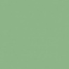 VERT OXYDE DE CHROME TEINTE H