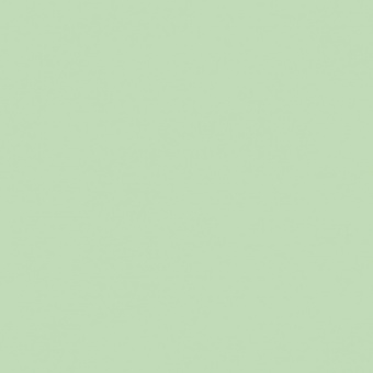 VERT OXYDE DE CHROME TEINTE M