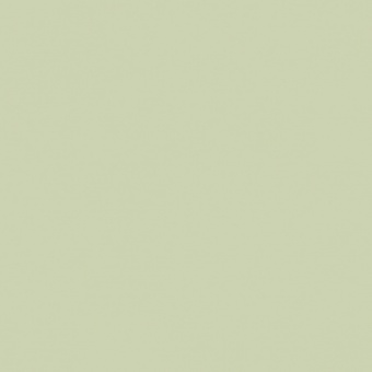 VERT OXYDE DE CHROME TEINTE O
