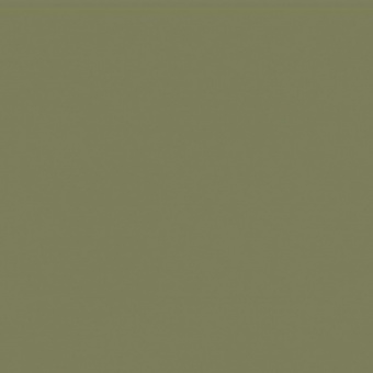 VERT OLIVE 1 TEINTE B