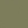 VERT OLIVE 1 TEINTE B