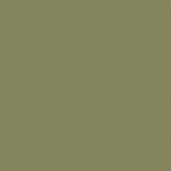 VERT OLIVE 1 TEINTE D