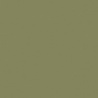 VERT OLIVE 1 TEINTE D