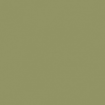 VERT OLIVE 1 TEINTE H