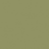 VERT OLIVE 1 TEINTE H