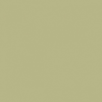VERT OLIVE 1 TEINTE M