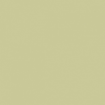 VERT OLIVE 1 TEINTE O