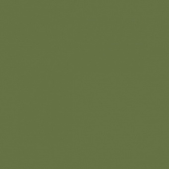 VERT OLIVE 2 TEINTE B