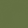 VERT OLIVE 2 TEINTE B