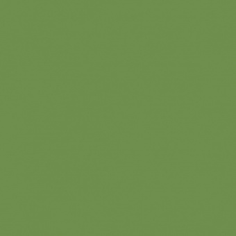 VERT OLIVE 2 TEINTE D