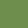 VERT OLIVE 2 TEINTE D