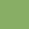 VERT OLIVE 2 TEINTE H