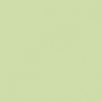 VERT OLIVE 2 TEINTE M