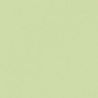 VERT OLIVE 2 TEINTE M