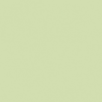 VERT OLIVE 2 TEINTE O