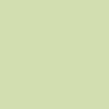 VERT OLIVE 2 TEINTE O