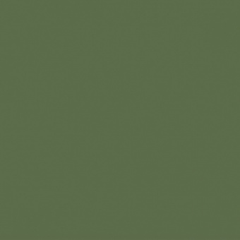 VERT OLIVE FONCE TEINTE B