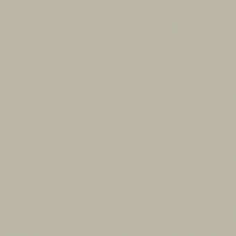 VIOLET GRIS TEINTE O