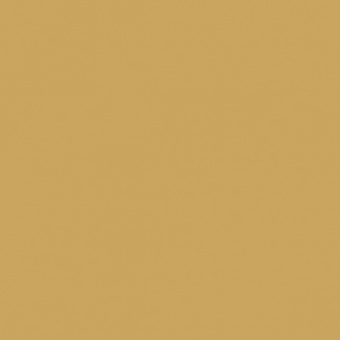 OCRE D OLIVE CLAIRE TEINTE H