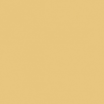 OCRE D OLIVE CLAIRE TEINTE M