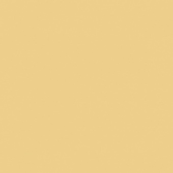 OCRE D OLIVE CLAIRE TEINTE O