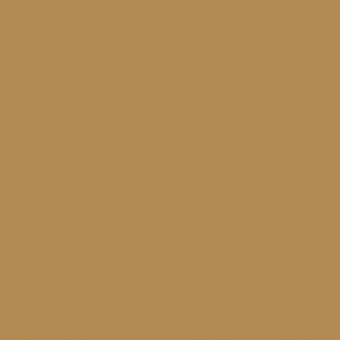 OCRE D OLIVE FONCEE TEINTE D
