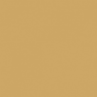 OCRE D OLIVE FONCEE TEINTE H