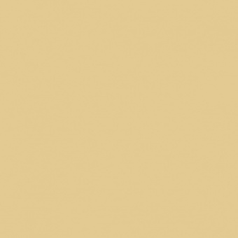 OCRE D OLIVE FONCEE TEINTE M