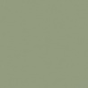 GRIS VERDATRE 1 TEINTE M