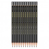 SET DE 12 CRAYONS GRAPHITE MONO 100