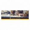 BLOC COLLE 4 CÔTES 100 % COTON 20 FEUILLES 300 G GRAIN TORCHON 13 X 38