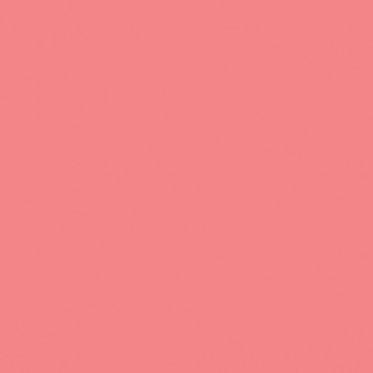 ROSE DE VENISE