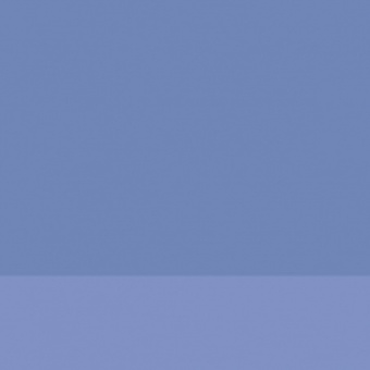 BLEU REX