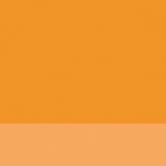 ORANGE JAPONAIS