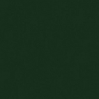 AEROSOL VERT DE HOOKER...