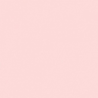 MARQUEUR ROSE PORTRAIT CLAIR