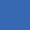 MARQUEUR BLEU FLUO