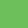 MARQUEUR VERT VIF CITRON