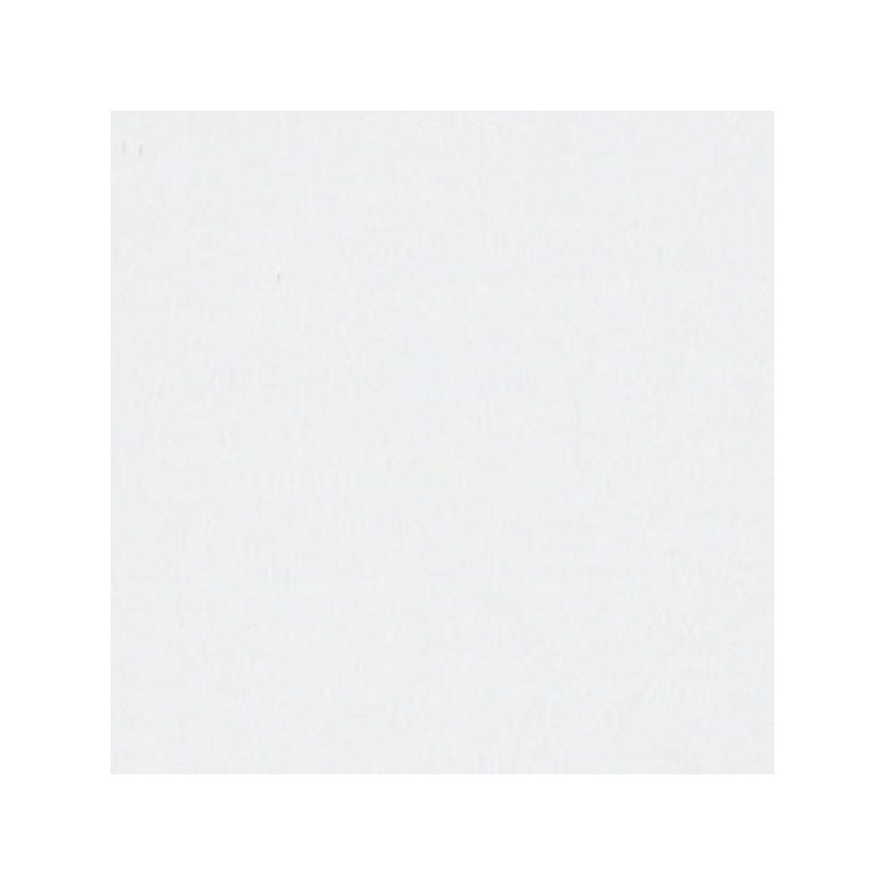 BLANC DE TITANE