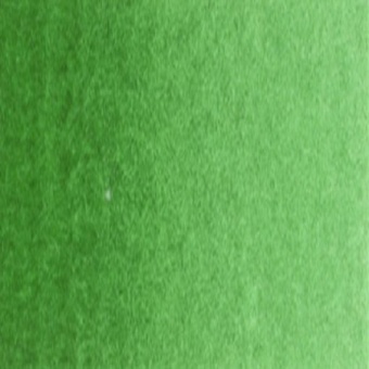 VERT DE HOOKER