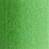VERT DE HOOKER